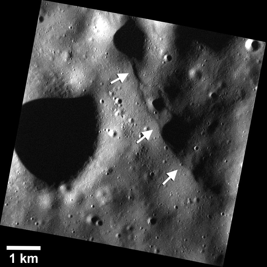 Small Scarps on Mercury