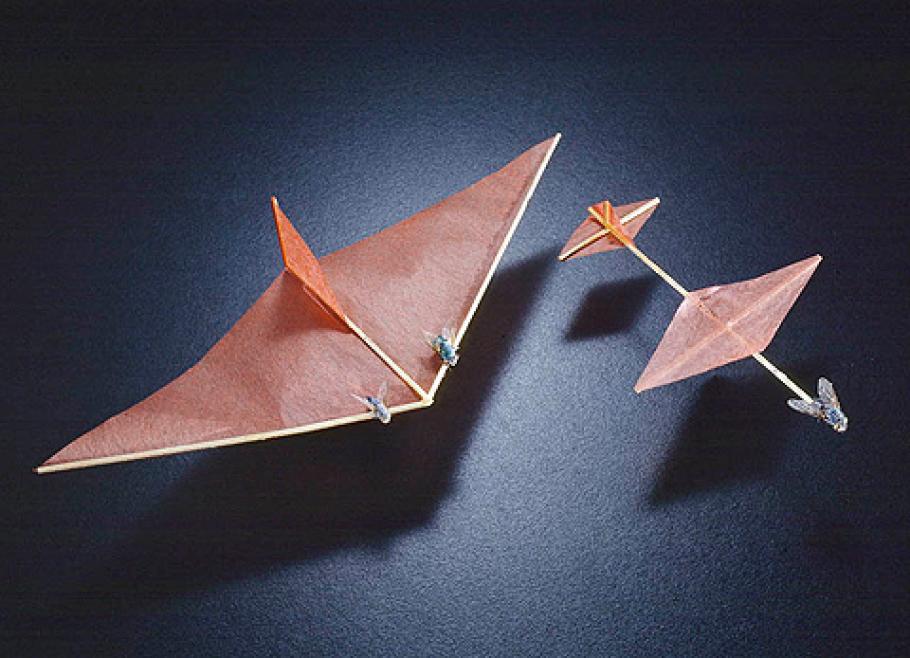 A model airplane constructed of red tissue paper and balsa wood, powered by flies.